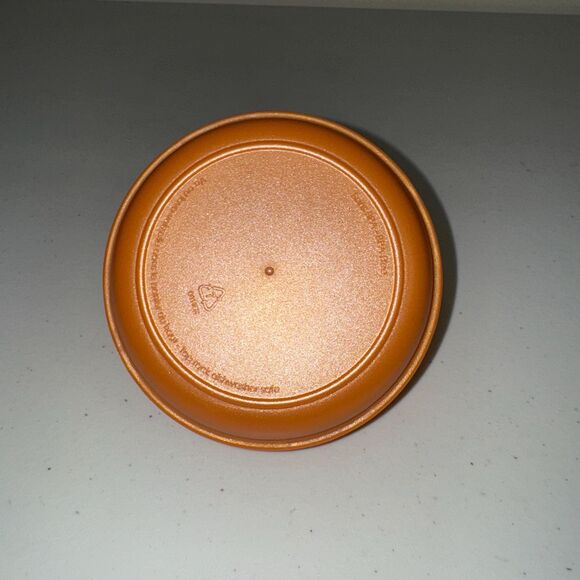 Joie Clearly Fresh Airtight Onion Keeper Food Storage Container Dishwasher Safe - Picture 4 of 7